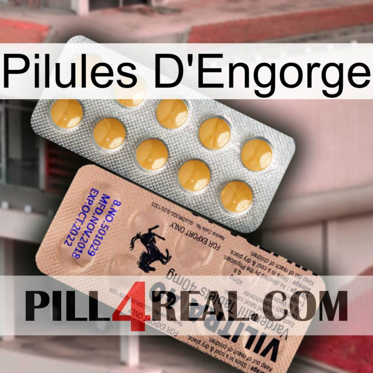 Engorge Pills 41